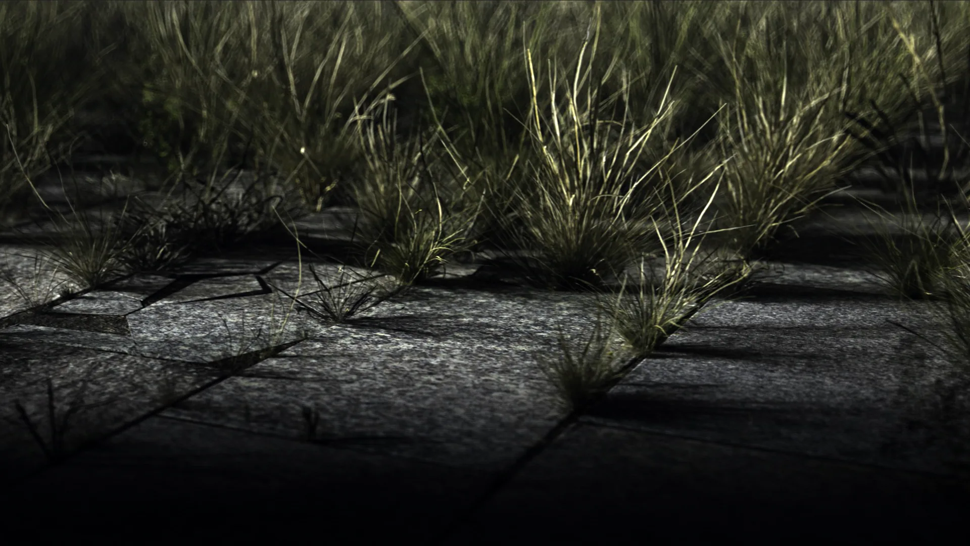 Bootstrap still 1